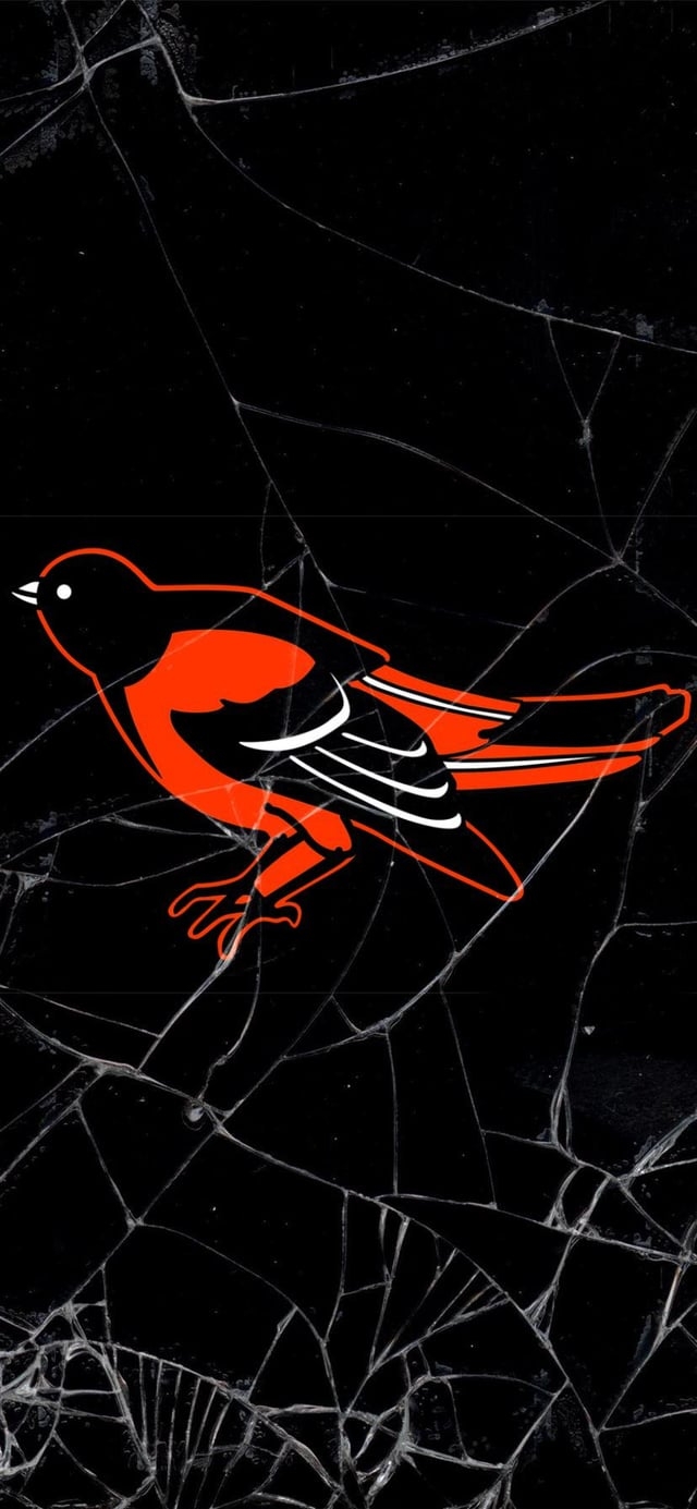 640x1390 Baltimore Orioles wallpaper phone, r, Phone