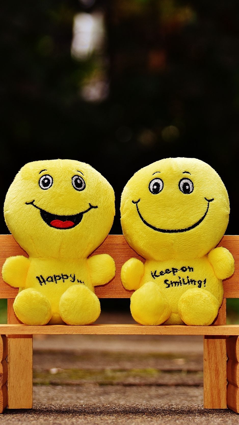 940x1670 Download Wallpaper  Smiles, Happy, Cheerful, Smile, Bench, Cute Iphone 8 7 6s 6 For Parallax HD Background, Phone