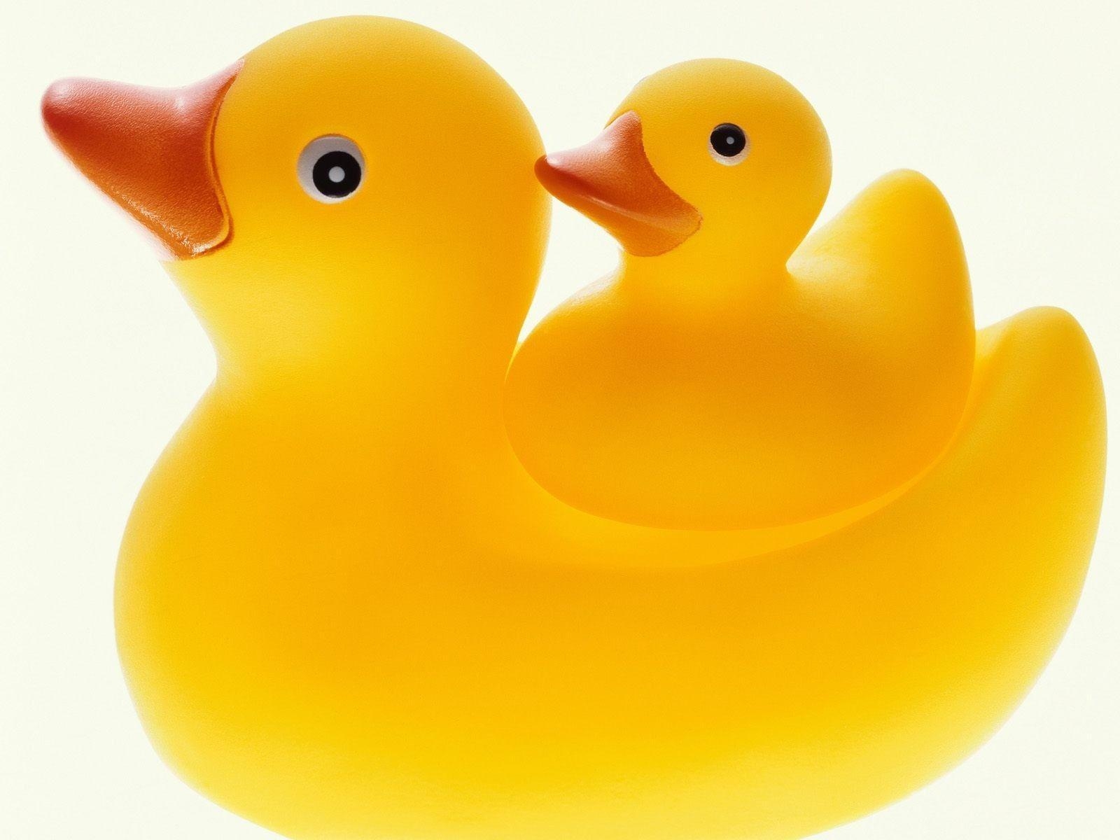 1600x1200 Wallpaper For > Rubber Duck Background, Desktop