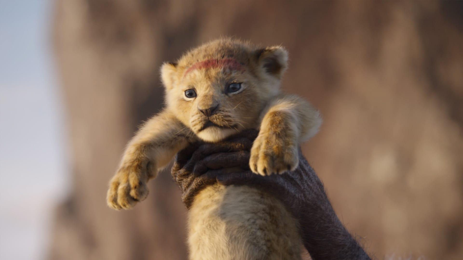 1920x1080 The Lion King (2019), Desktop