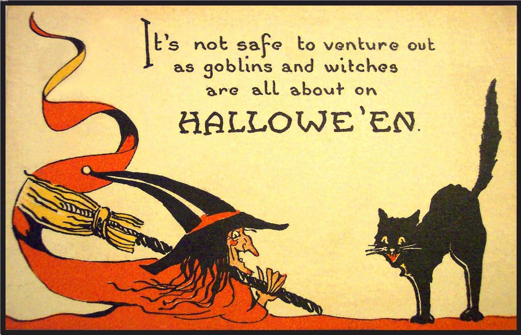 1800x1160 Halloween Witch Cat Wallpaper, Desktop