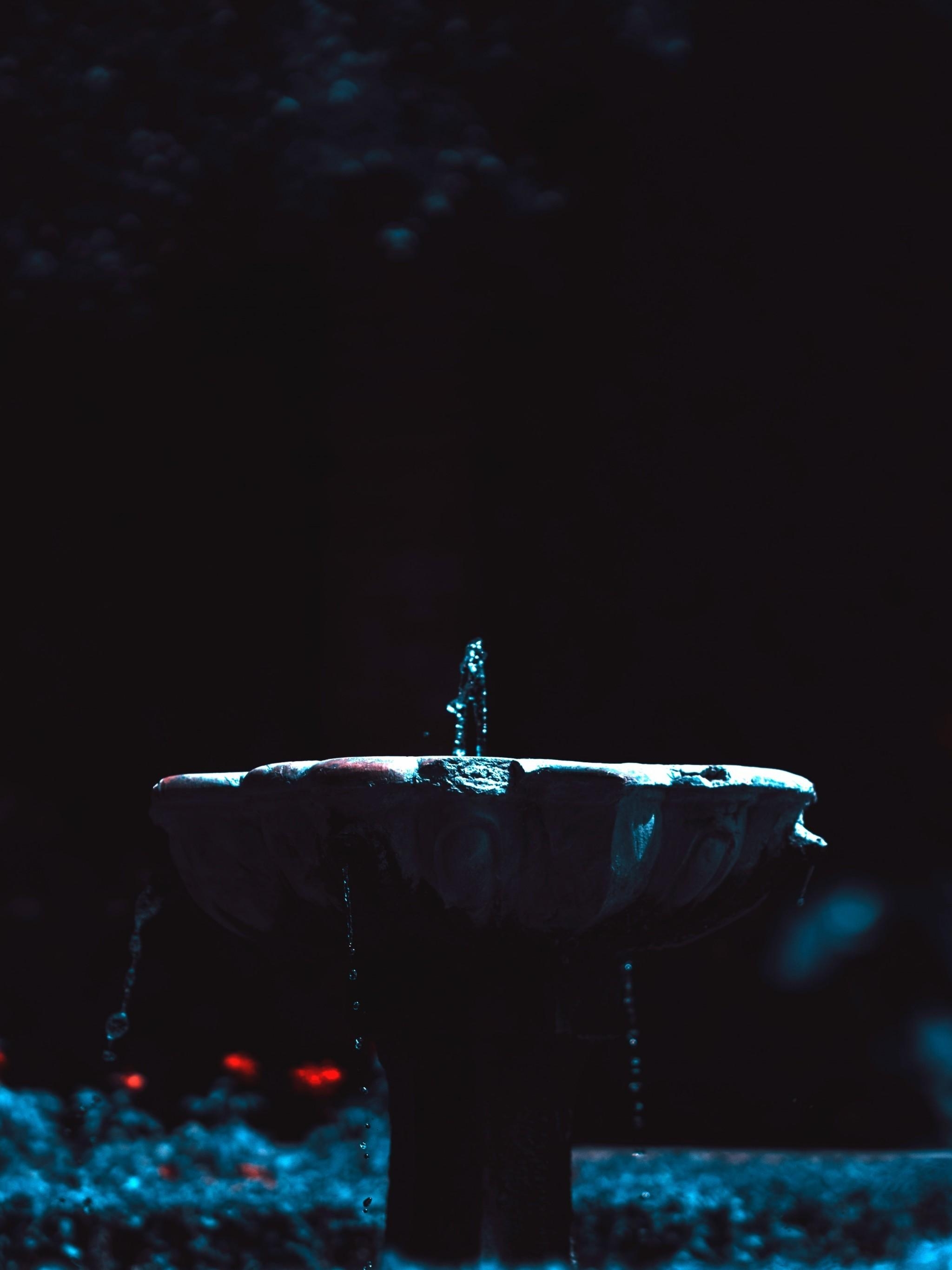 2050x2740 Download  Fountain, Dark, Photography, Red Flowers, Phone