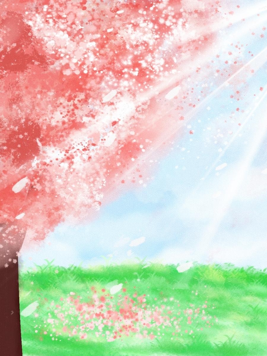 900x1210 Cherry Blossom Background Anime Background Wallpaper Download, Phone