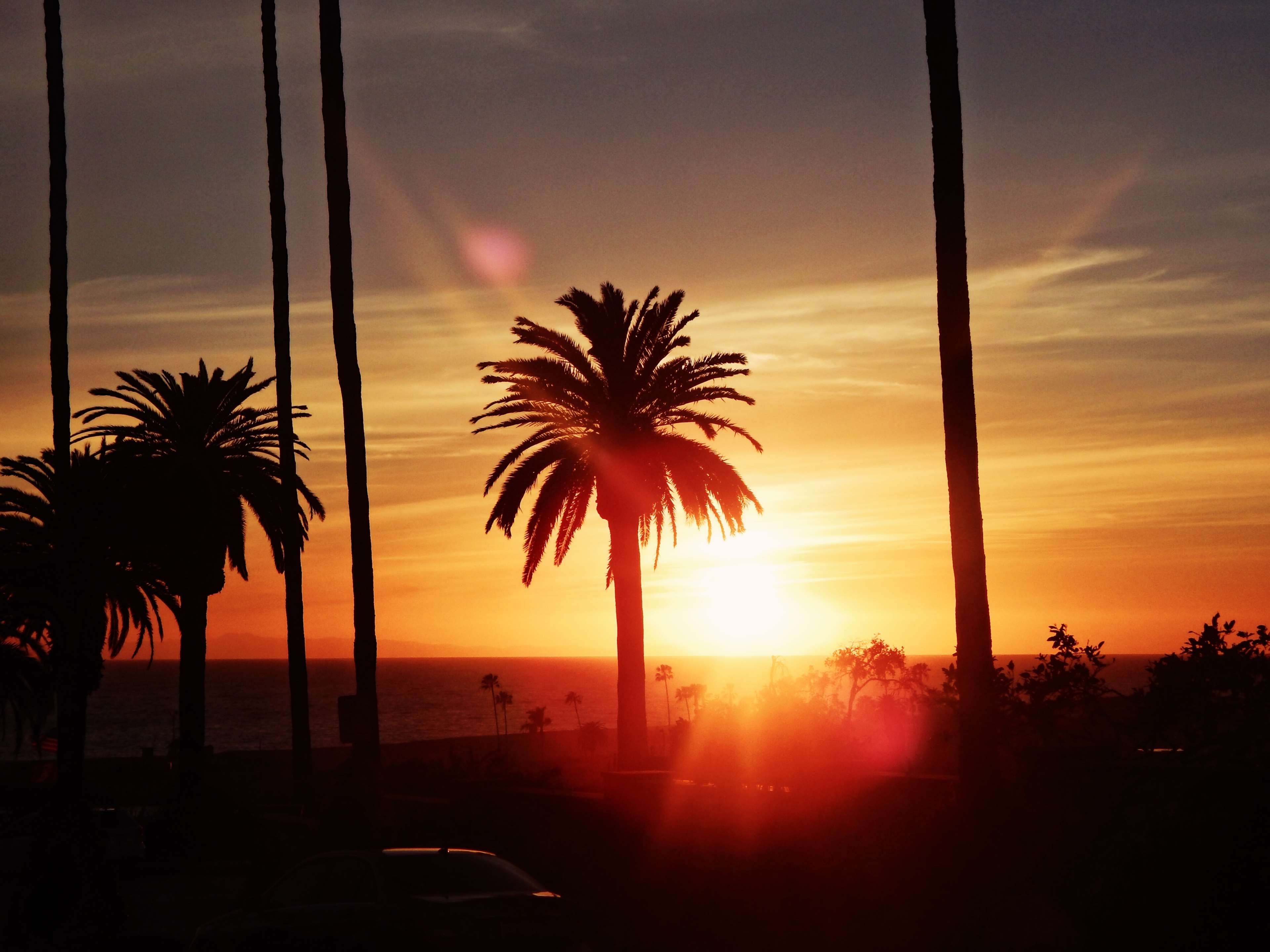 3840x2880 california, los angeles, palms, sun, sunset 4k wallpaper. Mocah HD Wallpaper, Desktop