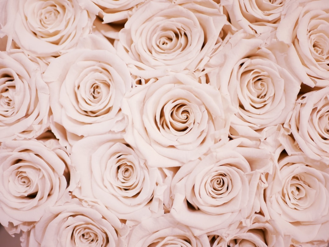 1080x820 Rose Gold Wallpaper: Free HD Download [HQ], Desktop