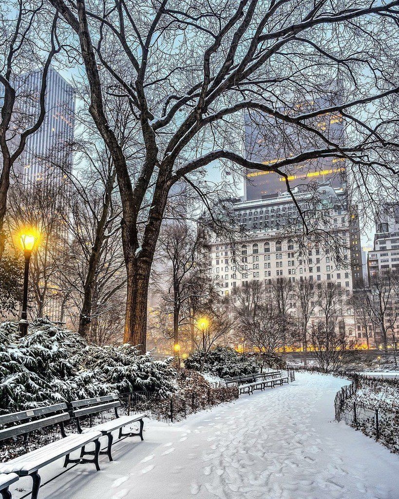 820x1030 NewYorkCityFeelings on Twitter. New york christmas, Nyc christmas, Winter photograph, Phone