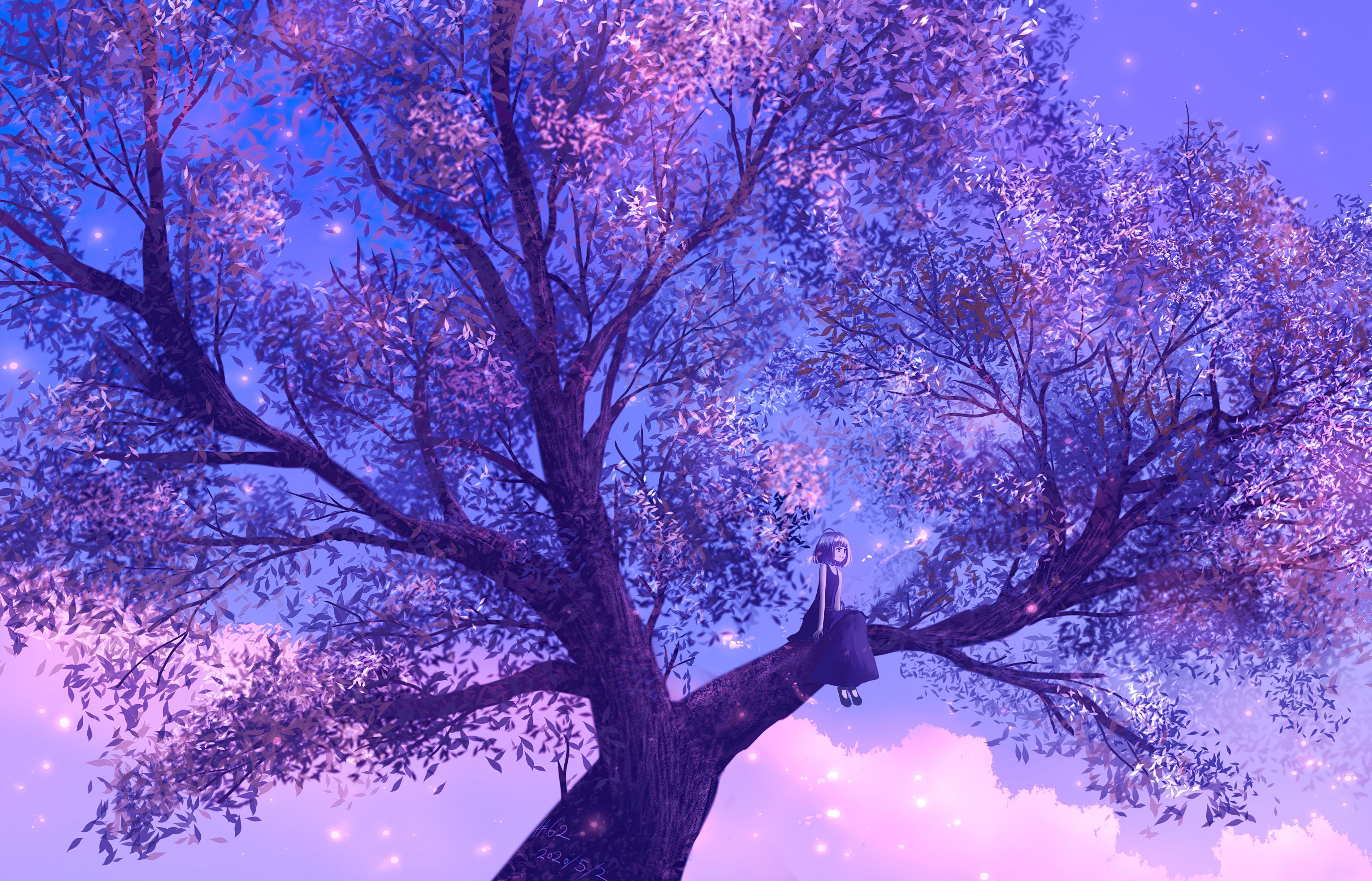 3800x2450 Anime Girl Sitting On Purple Big Tree 4k 720P HD 4k Wallpaper, Image, Background, Photo and Picture, Desktop