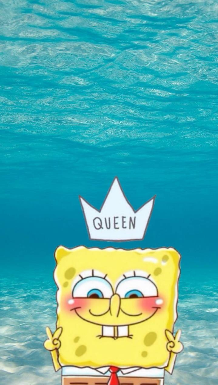 720x1270 Spongebob wallpaper, Phone