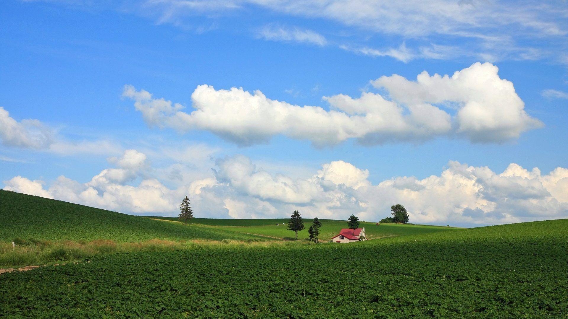 1920x1080 wallpaper: Hokkaido Landscape Japan Image Fields, Desktop