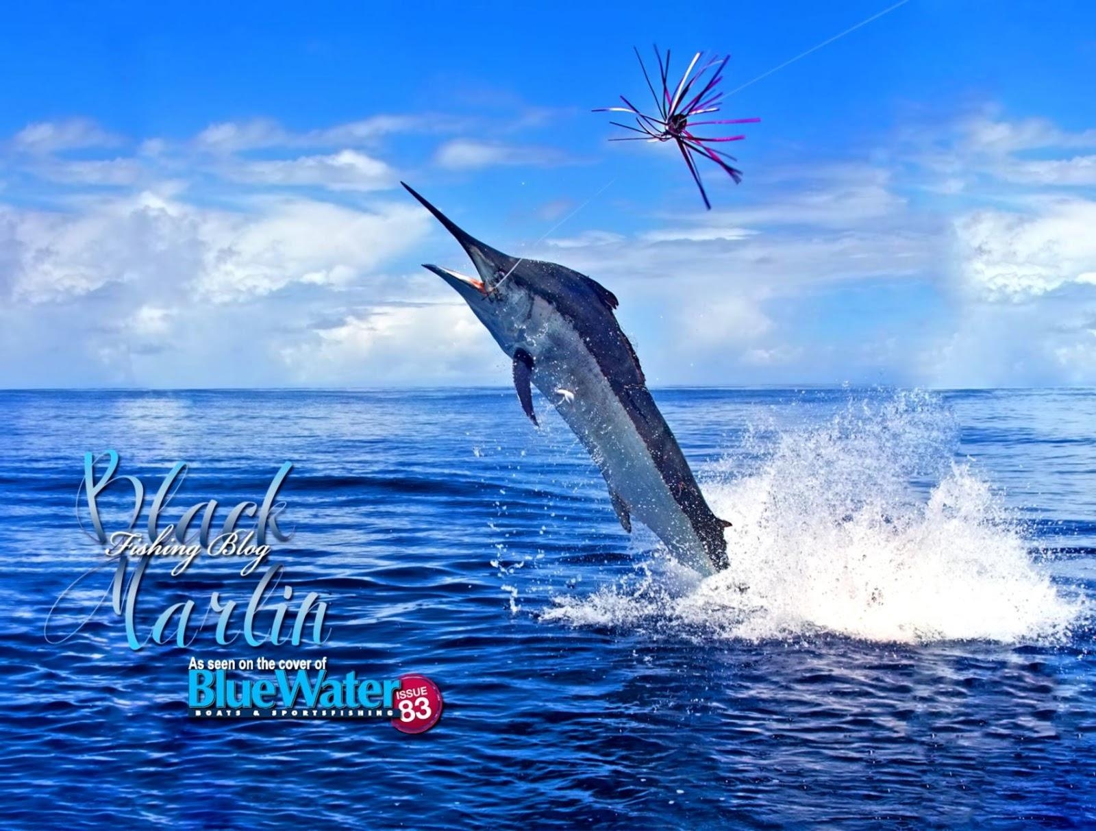 1600x1220 Marlin Fishing Wallpaper, Desktop