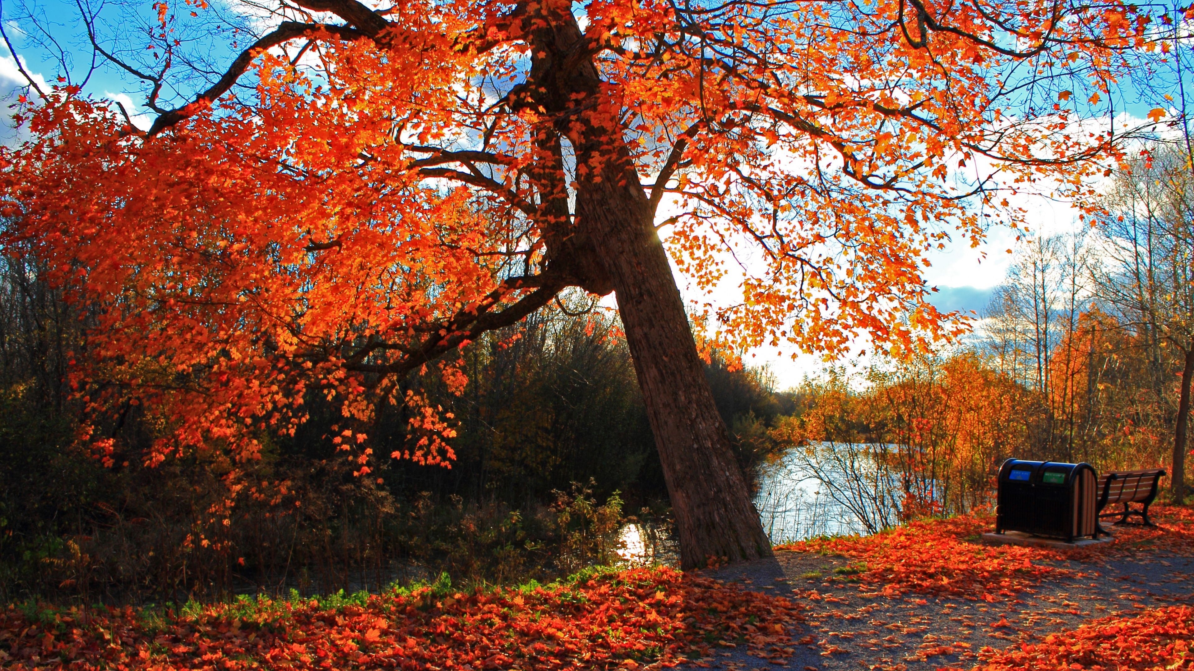 3840x2160 Landscape 4K Ultra HD Wallpaper. Wallpaper  autumn, park, river, shop, landscape 4K Ul. Landscape stairs, Winter landscape photography, Landscape edging, Desktop