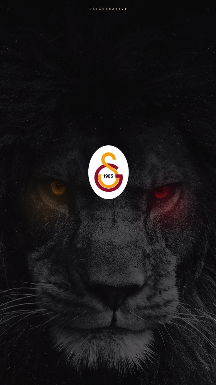 740x1310 Galatasaray Wallpaper, Phone