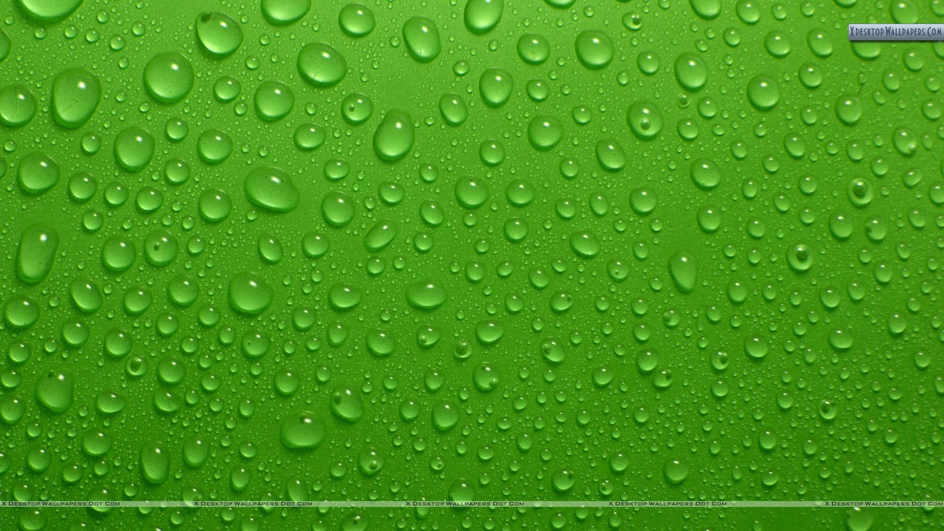 1920x1080 Green Background Wallpaper, Desktop