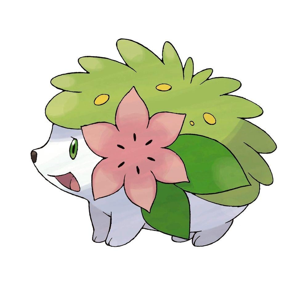 1000x940 Shaymin image Shaymin HD wallpaper and background photo, Desktop