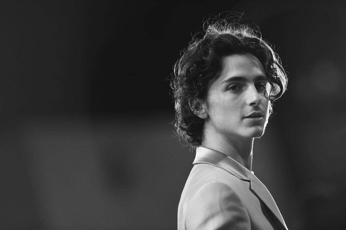1200x800 Timothee Chalamet Wallpaper, Desktop