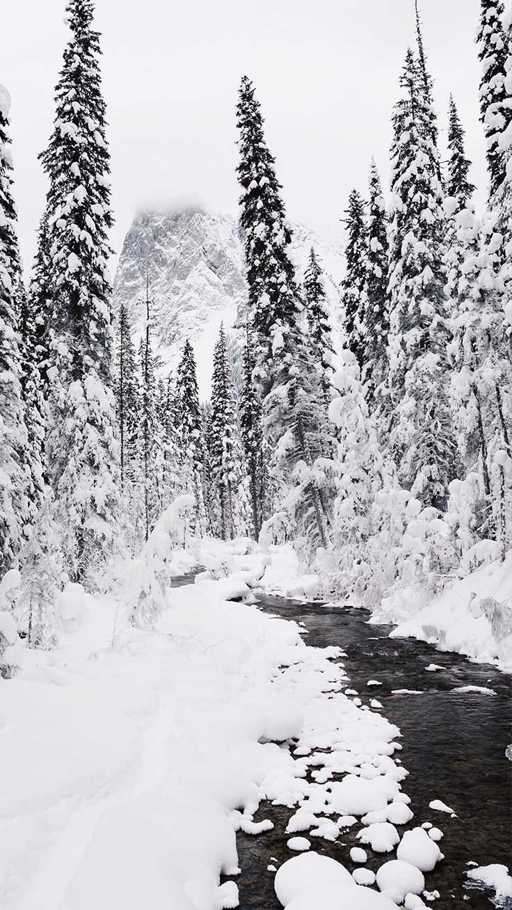 740x1310 Wonderful Winter World iPhone X Wallpaper. Preppy Wallpaper. iPhone wallpaper winter, Winter wallpaper, Preppy wallpaper, Phone