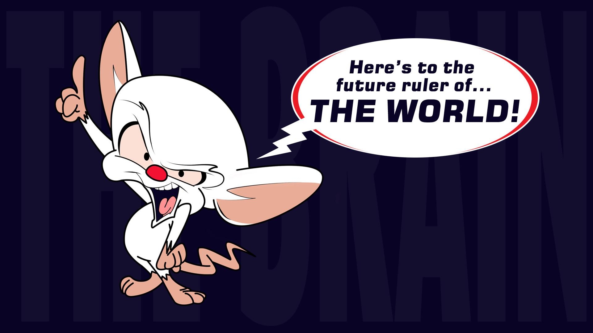 1920x1080 Pinky And The Brain Wallpaper 20 X 1080, Desktop