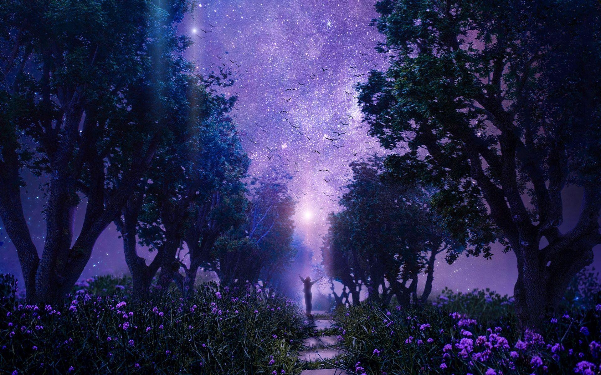 1920x1200 Purple forest wallpaper. Night sky wallpaper, Forest picture, Desktop