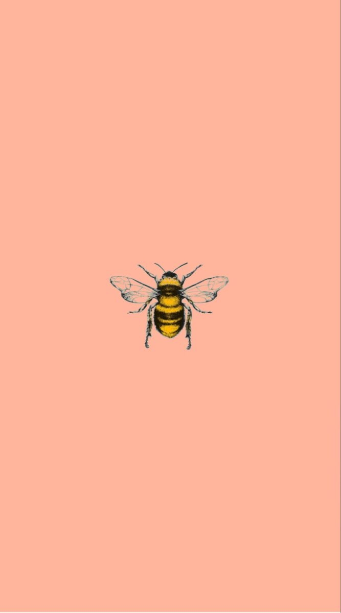 670x1200 Bumble bee wallpaper. iPhone background wallpaper, Wallpaper, Minimal wallpaper, Phone