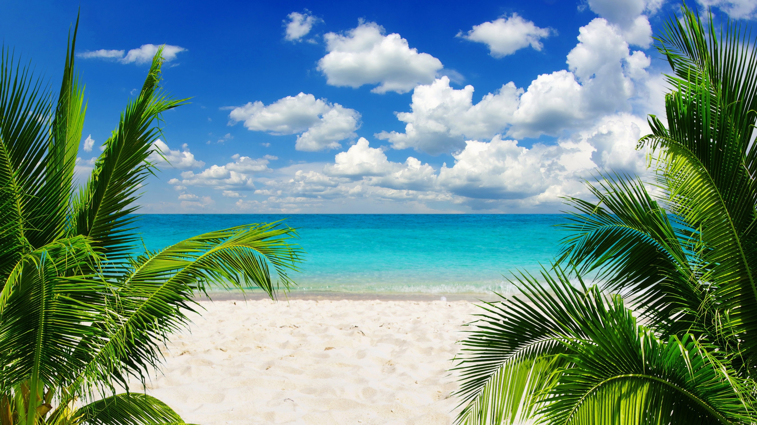 3200x1800 Tropical Paradise sunshine wallpaper. nature and landscape, Desktop