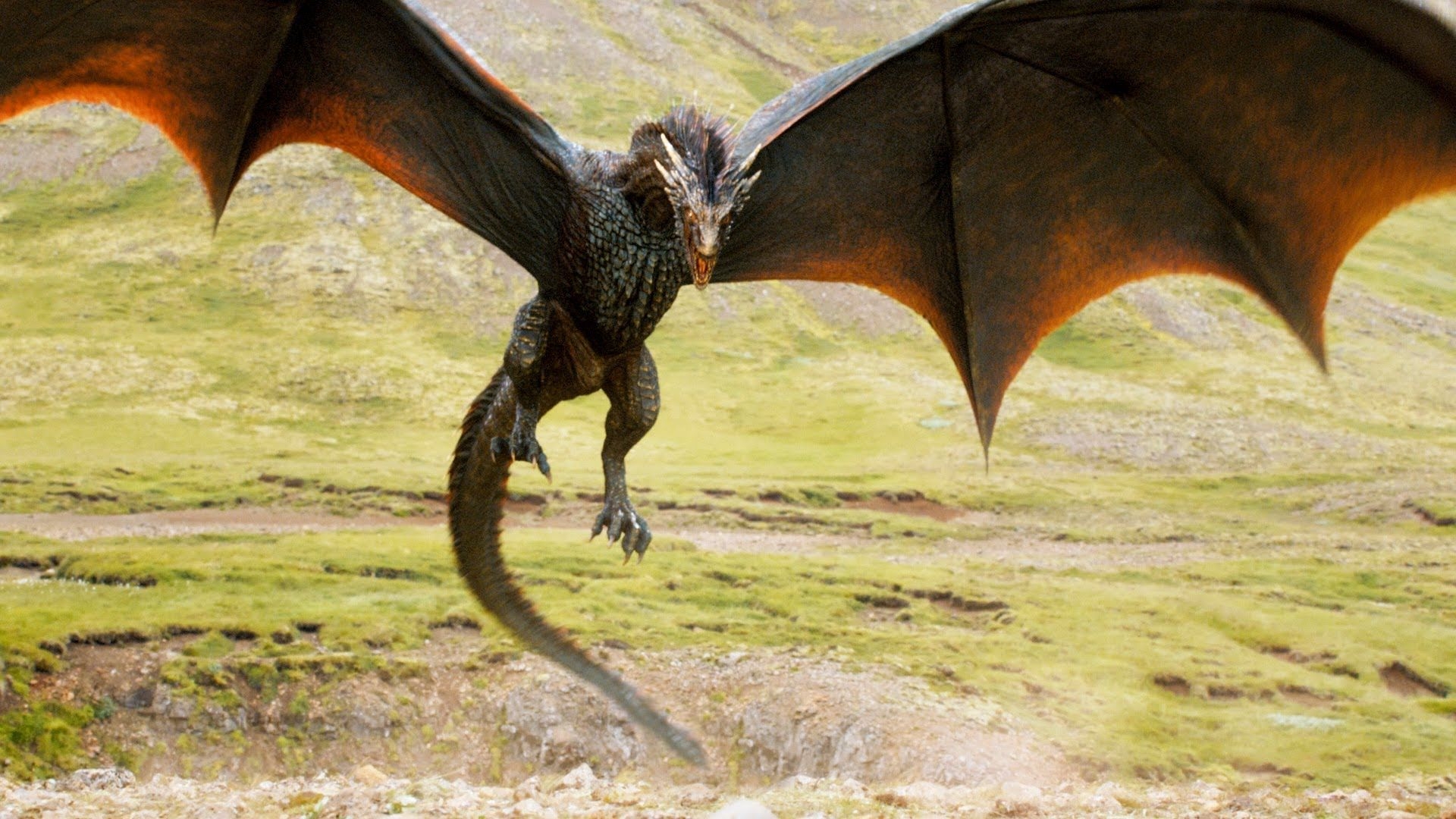 1920x1080 Game of Thrones Dragon Wallpaper Live Wallpaper HD, Desktop