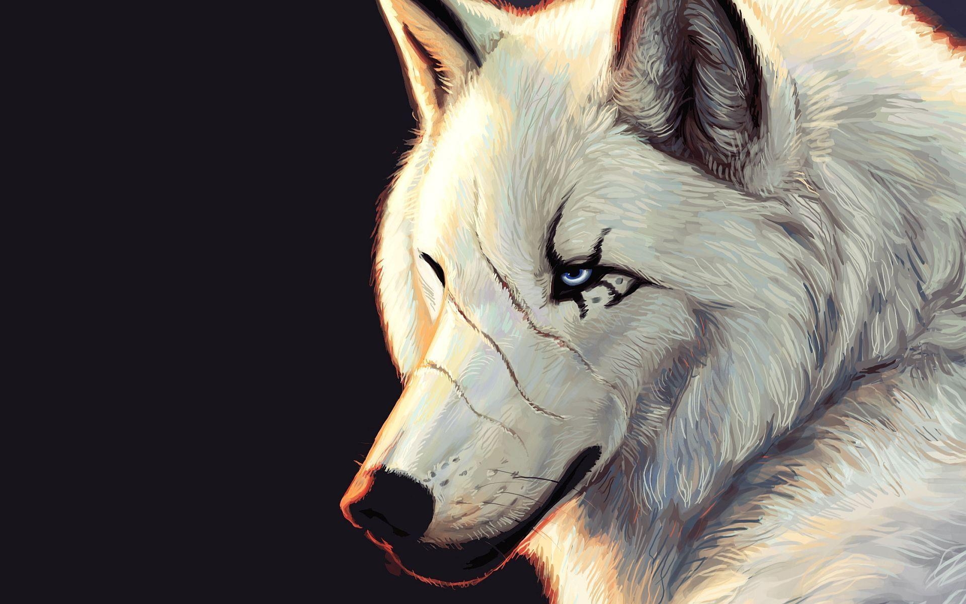 1920x1200 White wolf art Wallpaper, Desktop