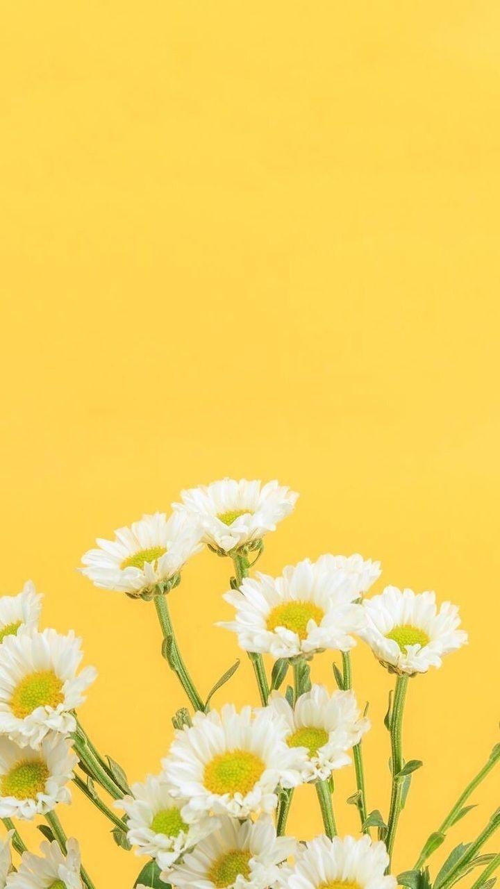 720x1280 Yellow Floral iPhone Wallpaper Free Yellow Floral iPhone Background, Phone