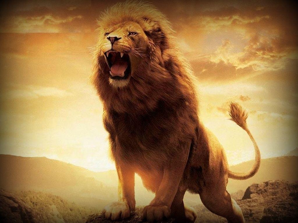 1030x770 Cool Lion Wallpaper Free Cool.wallpaperaccess.com, Desktop