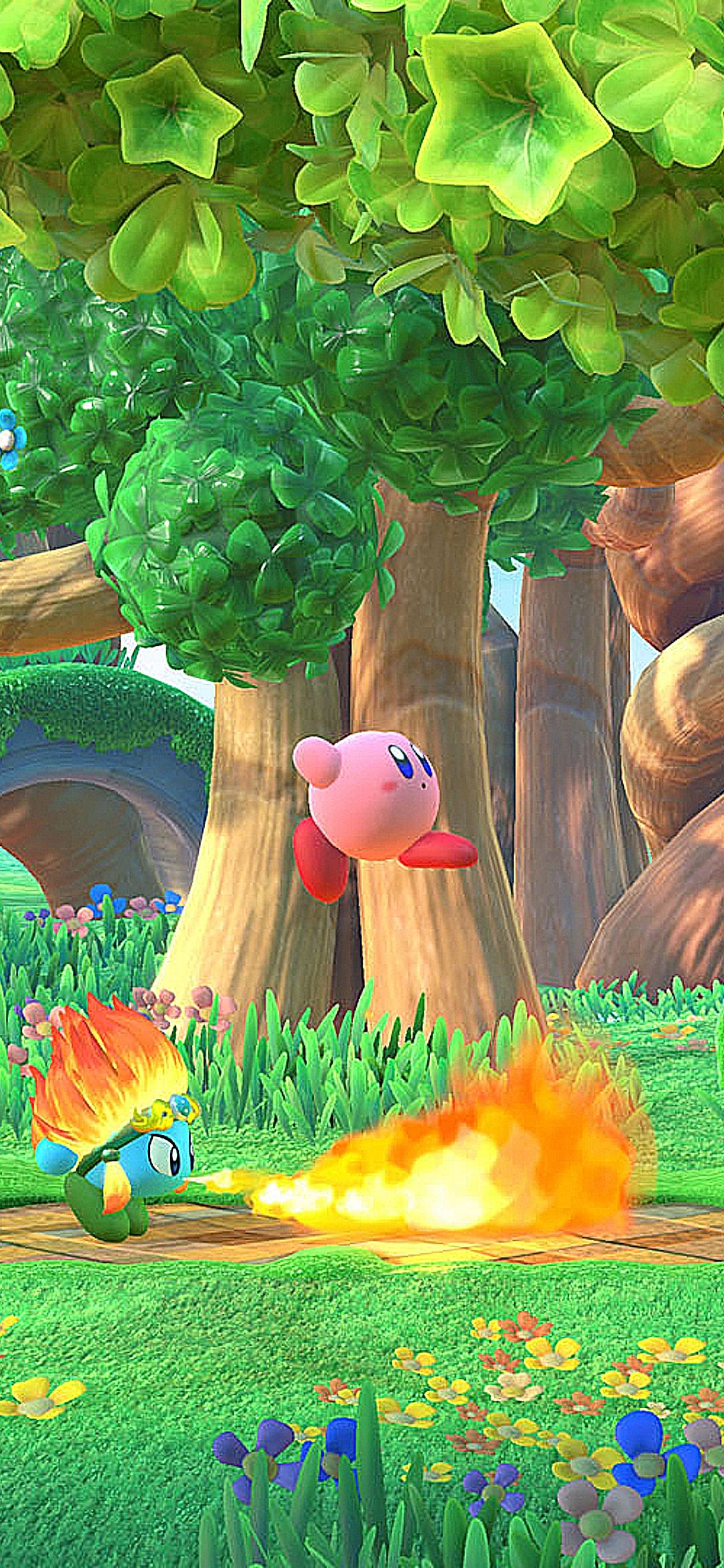 1250x2690 Wallpaper Animal Crossing New Horizons, Kirby, Luigis Mansion Nintendo, Nintendo Game, Background Free Image, Phone