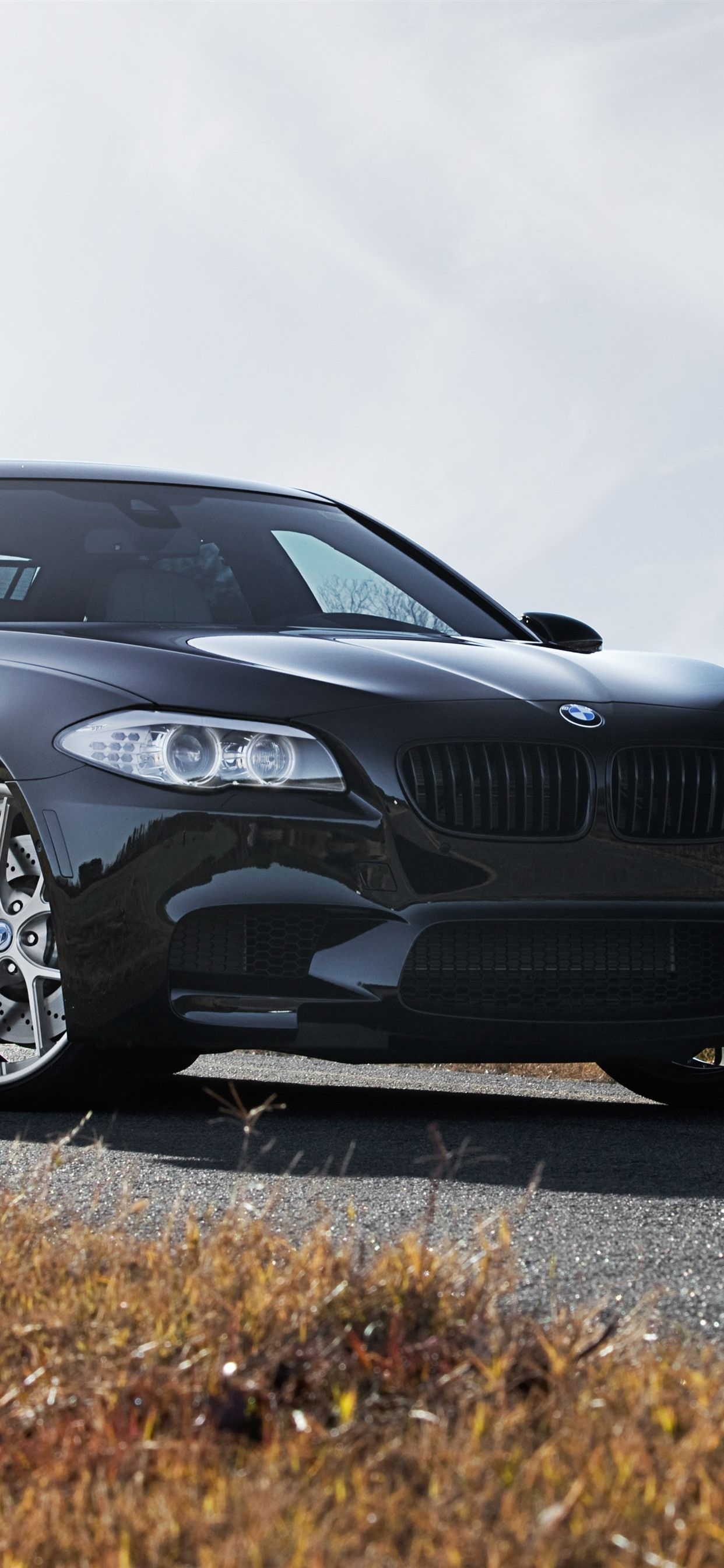 1250x2690 iPhone Wallpaper Bmw F10 M5 Black Car Front View M5 Ultra HD HD Wallpaper, Phone