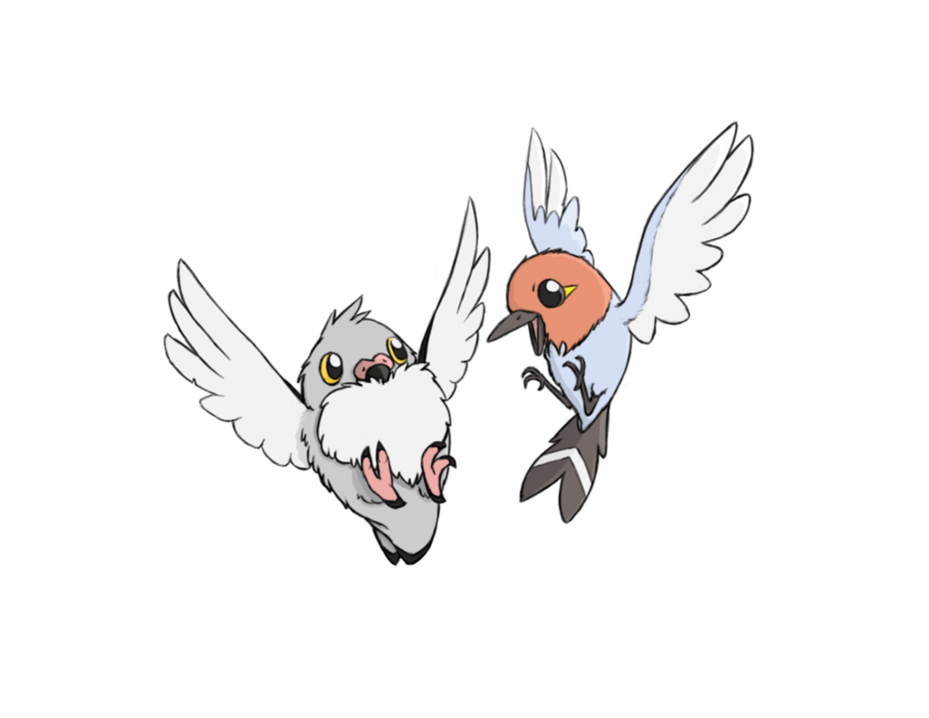 1020x790 Fletchling and Pidove, Desktop