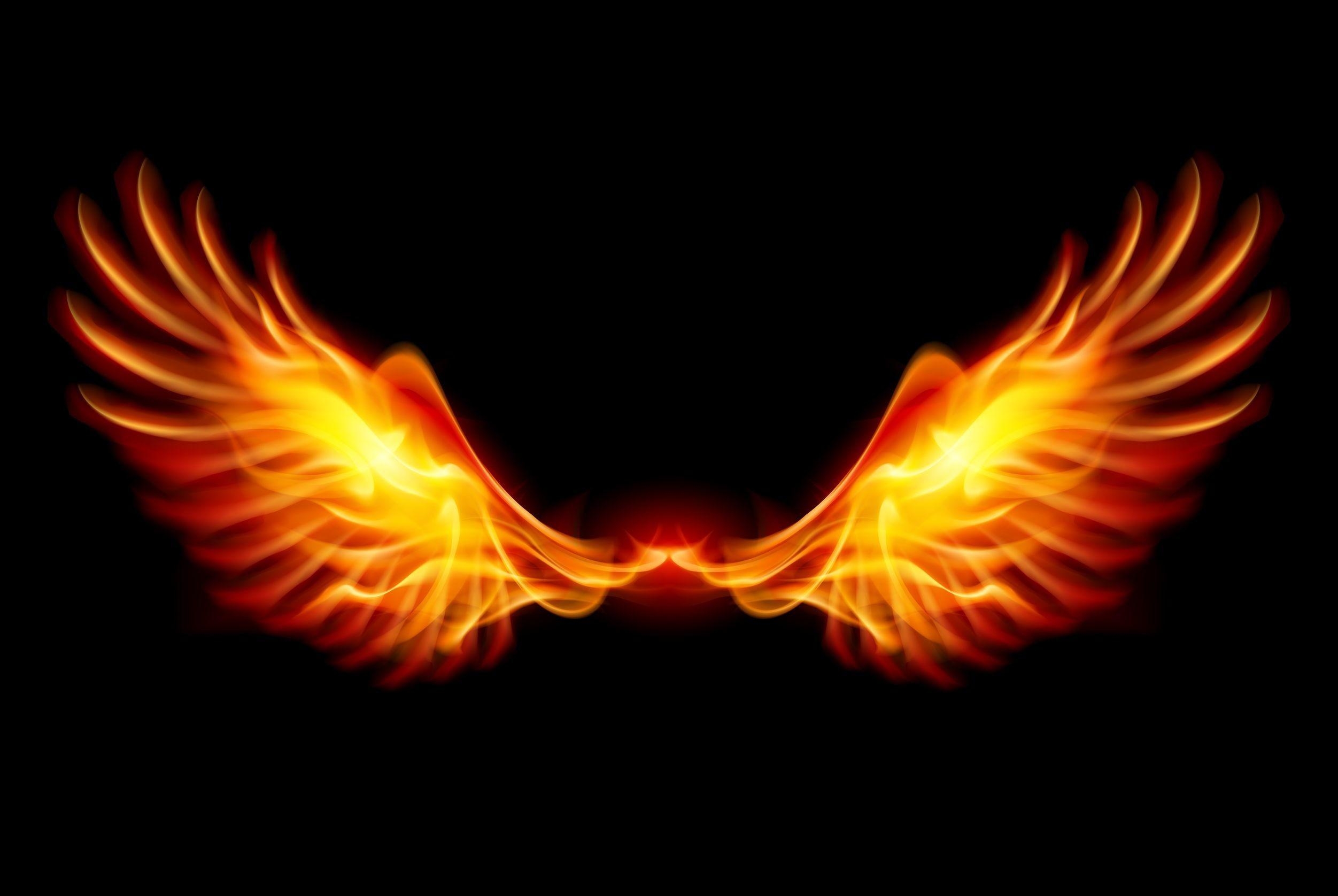 2510x1680 Phoenix Wallpaper HD, Desktop