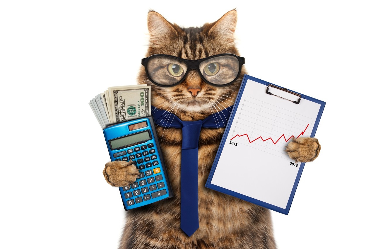 1340x850 Wallpaper cat, money, humor, glasses, tie, white background, dollars, schedule, the bucks, calculator, accountant image for desktop, section кошки, Desktop