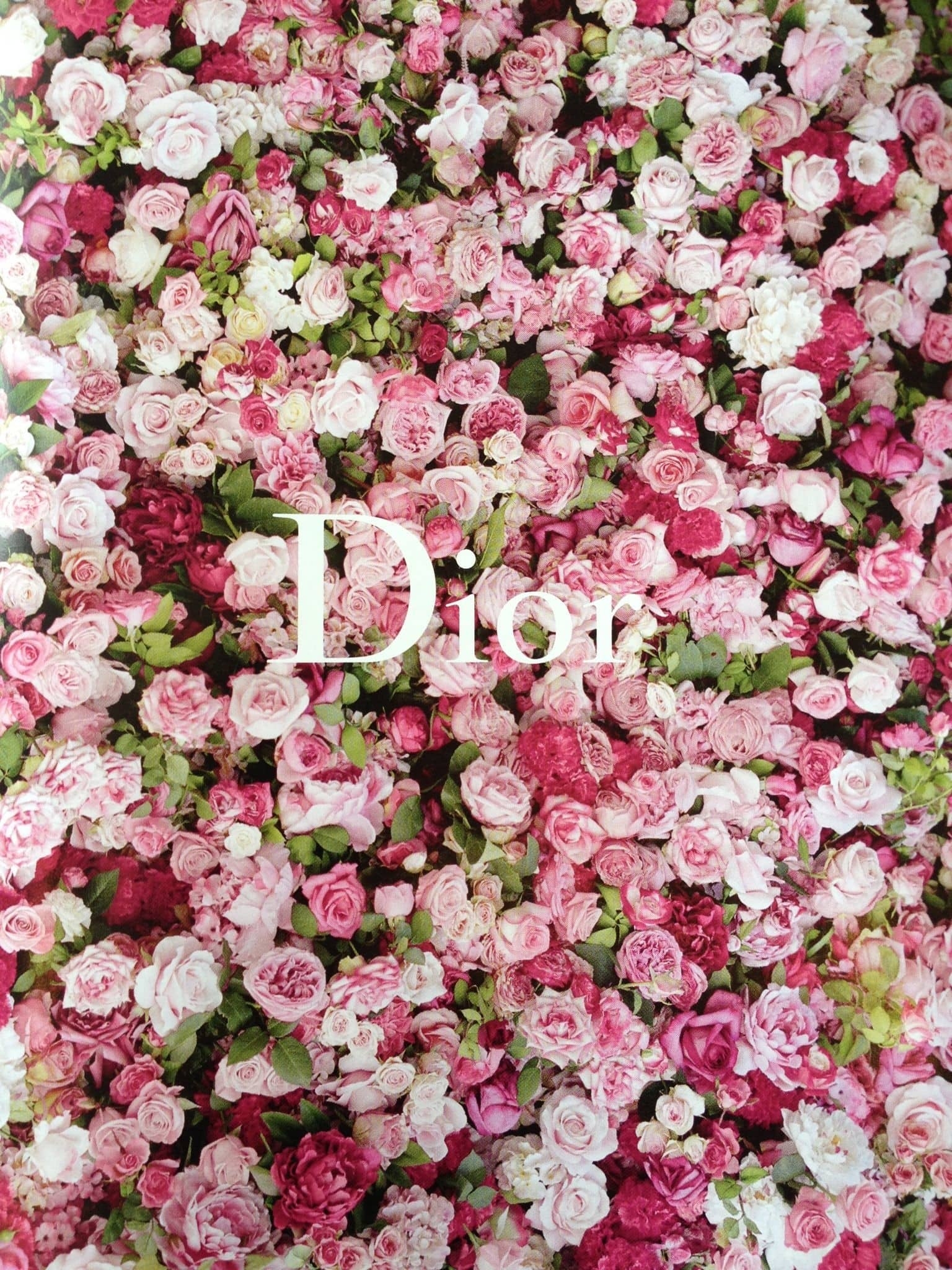 1540x2050 Dior Wallpaper, Phone