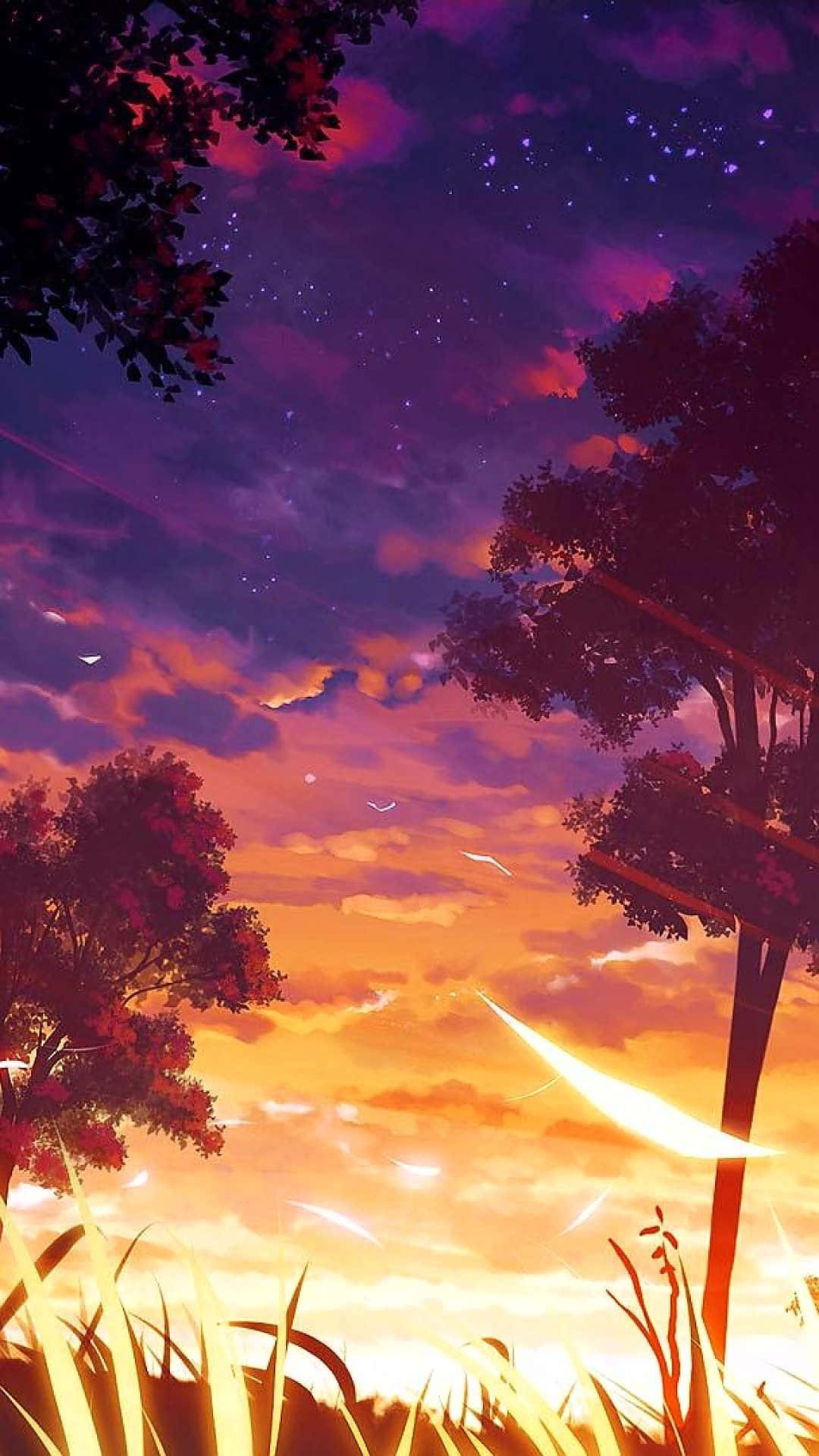 1080x1920 Download Sunset Silhouette Beautiful Anime Scenery Phone Wallpaper, Phone