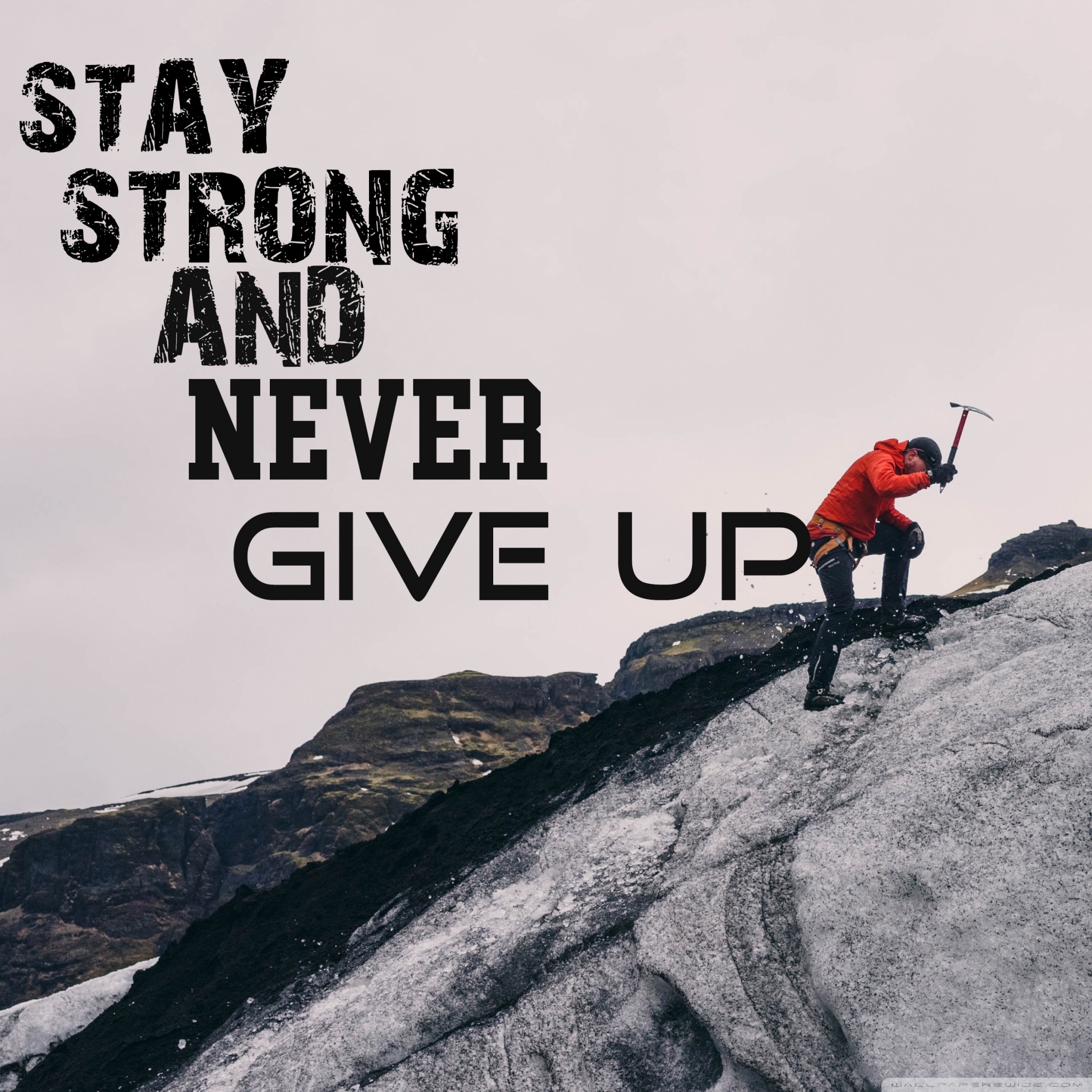 2050x2050 Never Give Up Ultra HD Desktop Background Wallpaper for 4K UHD TV, Multi Display, Dual & Triple Monitor, Tablet, Phone