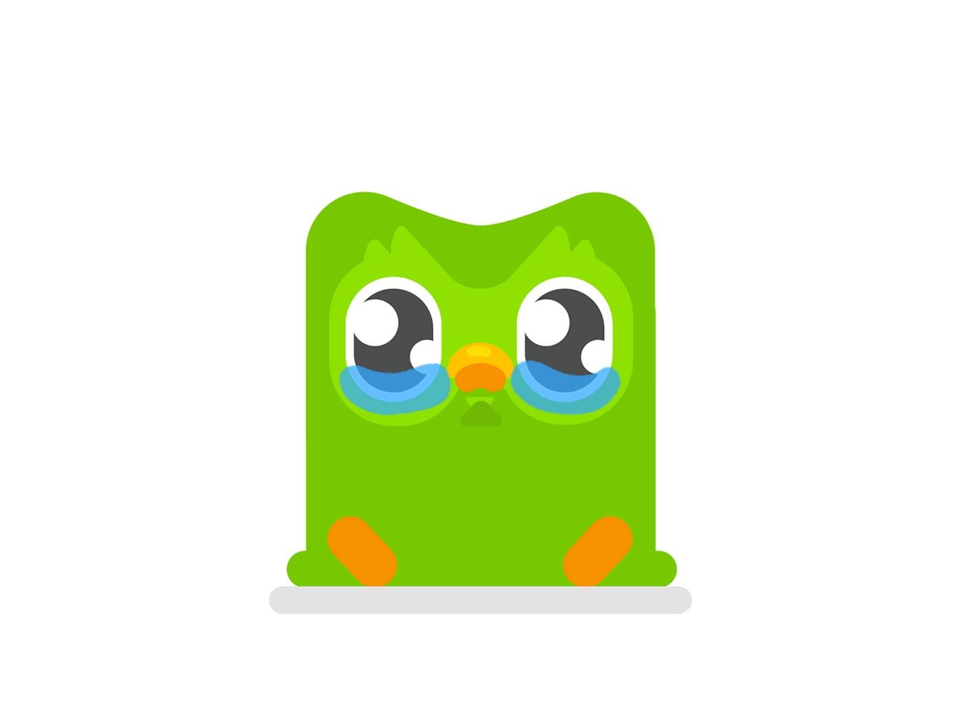 1400x1050 Learning Duolingo Wallpaper, Desktop