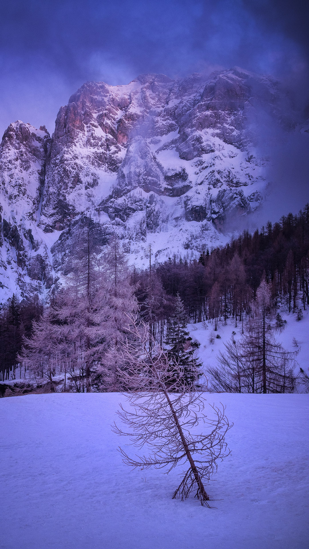 1080x1920 Dreamy Pixel. Free iPhone Wallpaper: Tree and mountains in snow, Phone