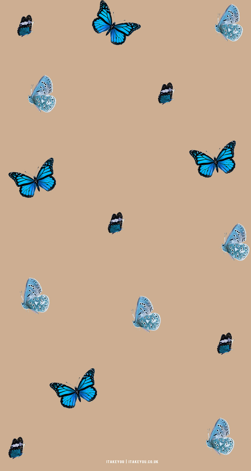 1020x1920 Cute Brown Aesthetic Wallpaper for Phone, Butterflies I Take You. Wedding Readings. Wedding Ideas, Phone