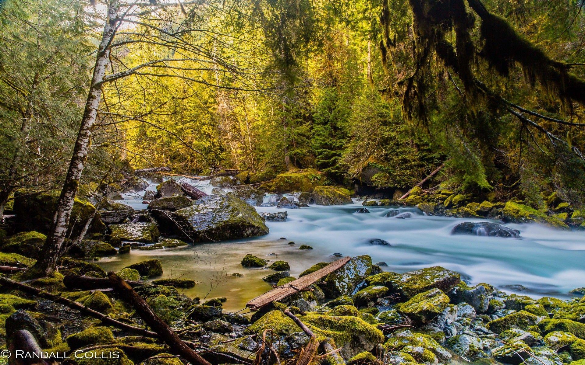 1920x1200 Mountain River North Fork Skokomish River Olympic National Park, Desktop