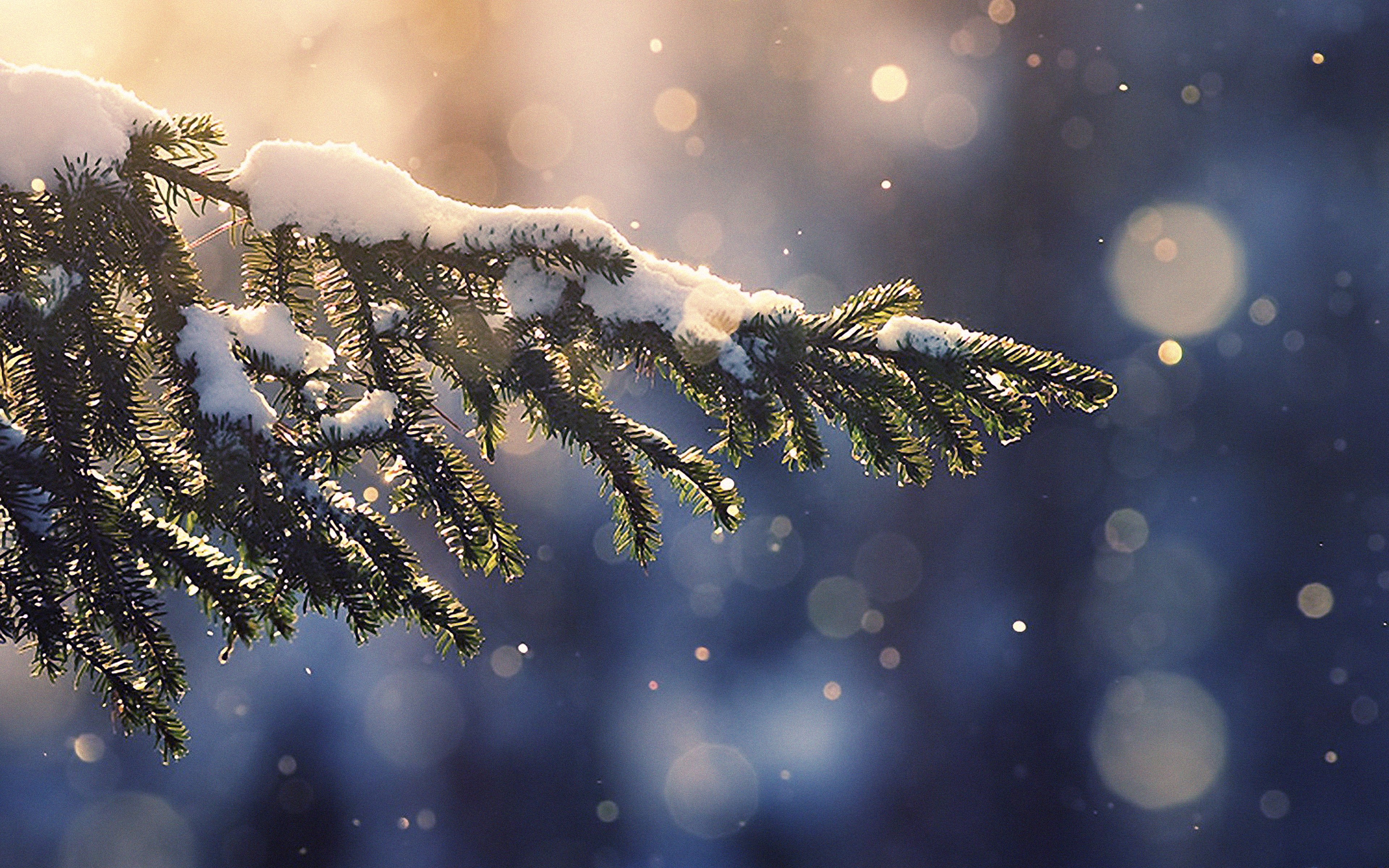 3840x2400 Christmas Desktop Wallpaper, Desktop