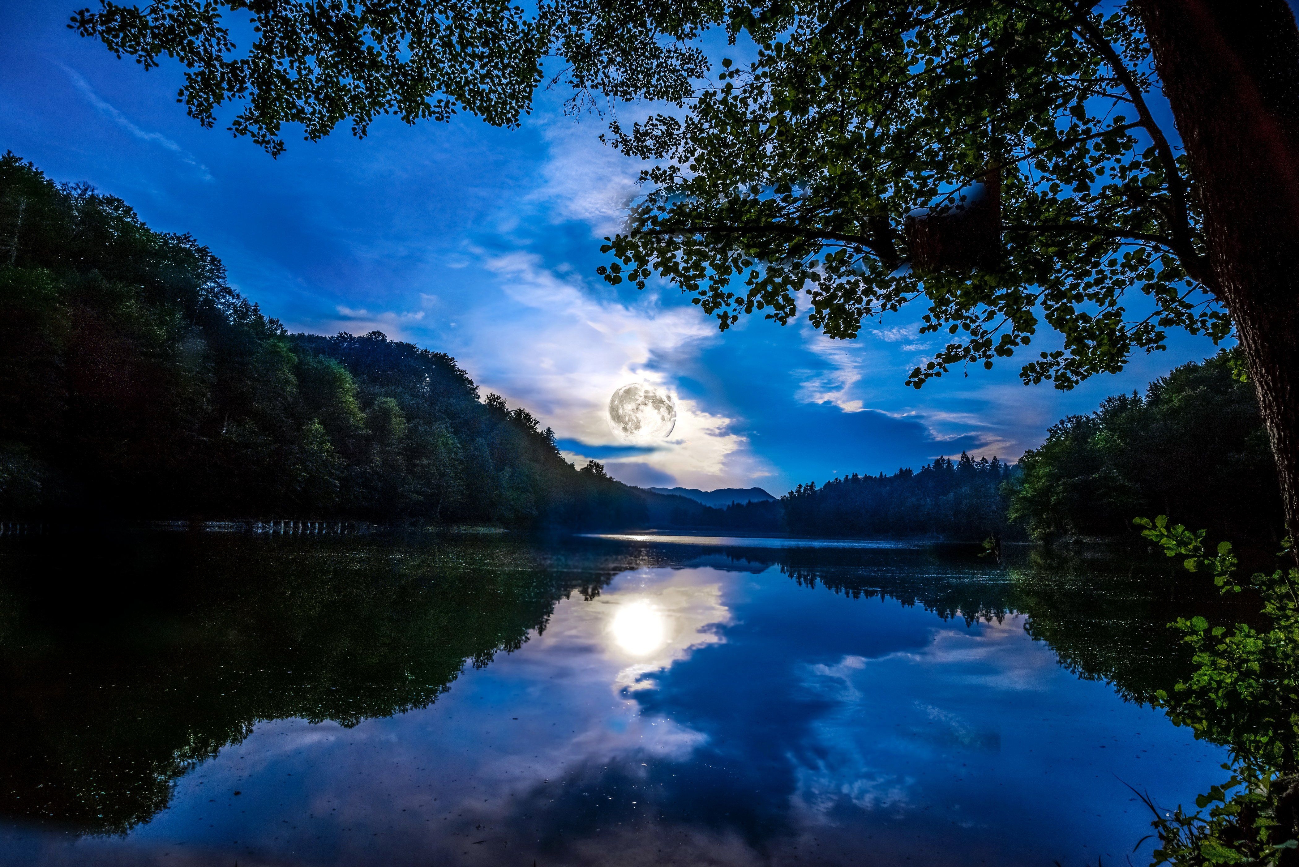4200x2810 germany, Scenery, Rivers, Forests, Sky, Night, Branches, Mainz, Desktop