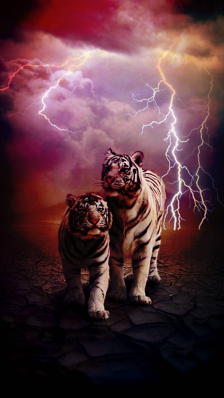 720x1280 Lightning Cool Tiger Wallpaper, Phone