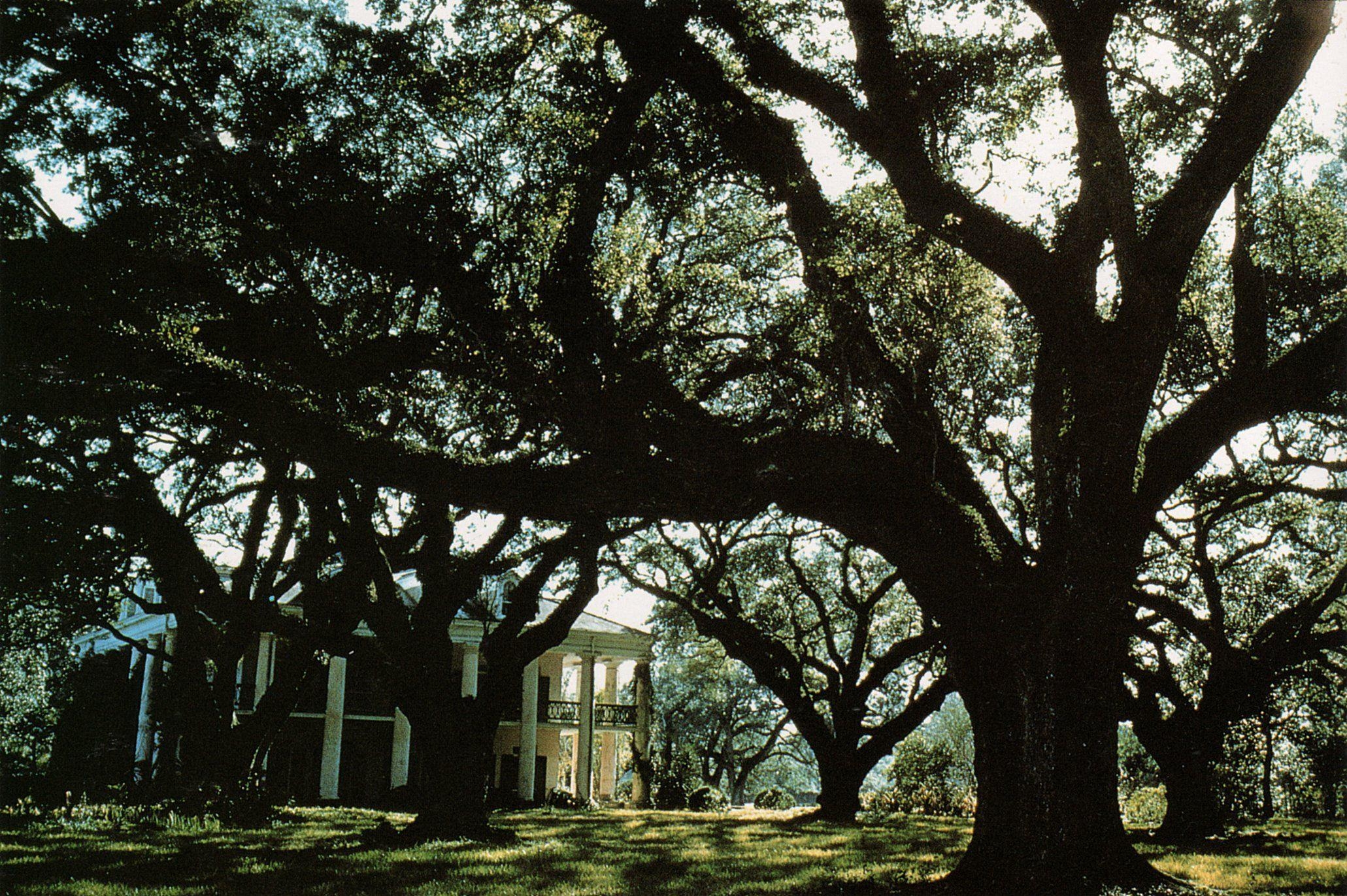 2070x1380 ernst haas oak alley plantation louisiana kodachrome 1961 high, Desktop