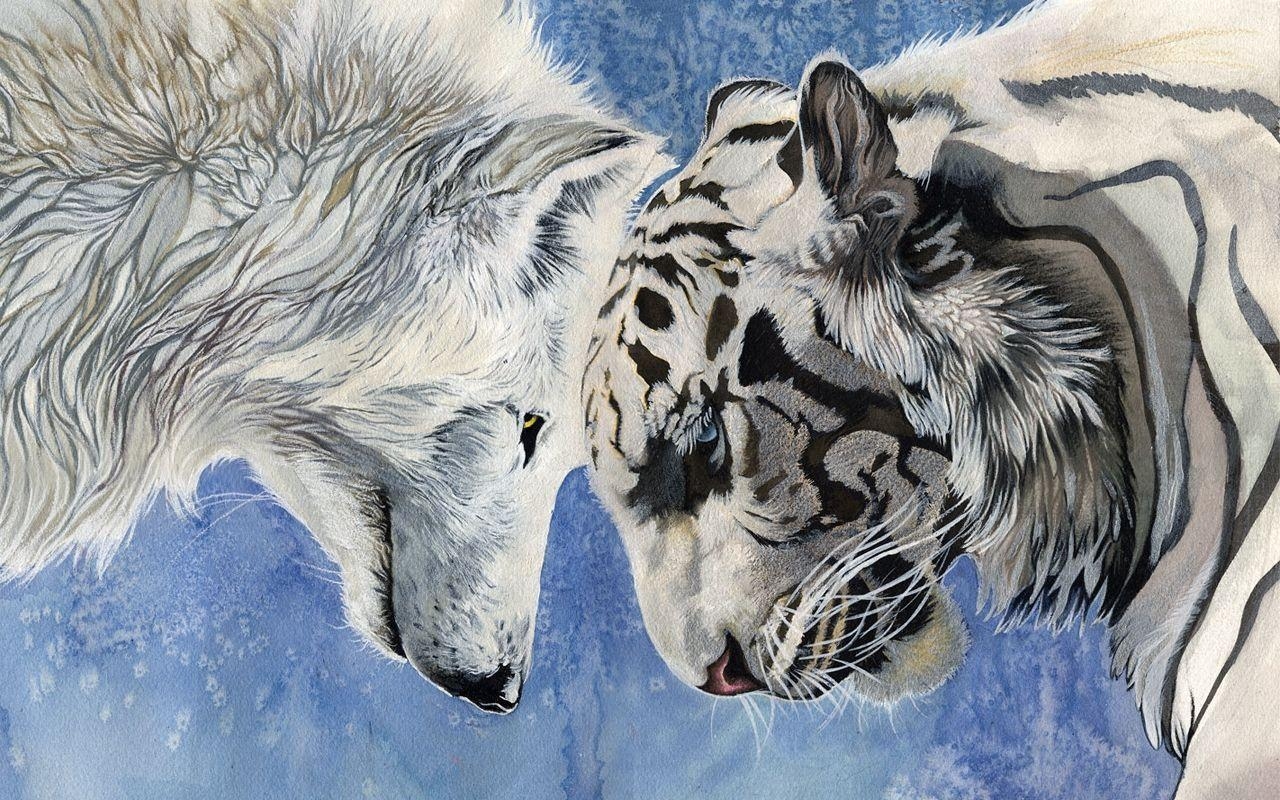 1280x800 White Wolf Beautiful Wallpaper HD 261 High Definition Wallpaper, Desktop
