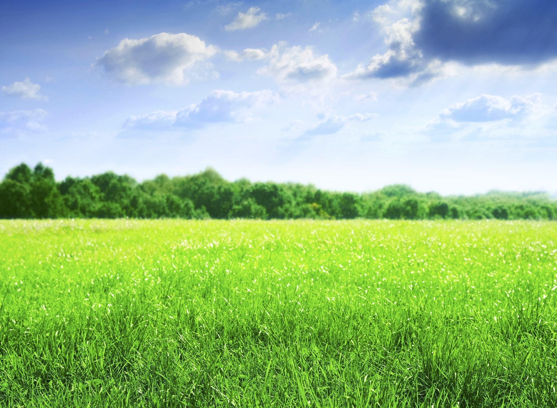 1920x1410 Spring meadow HD Wallpaper & Background motorola, Desktop