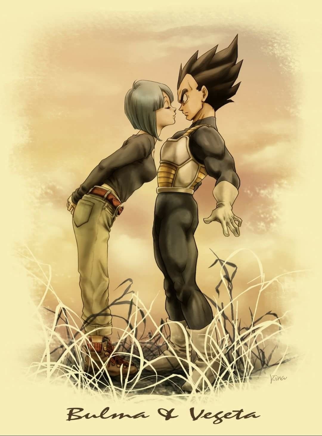 1080x1460 Dragon Ball Z!. Vegeta y bulma, Dragones, Phone