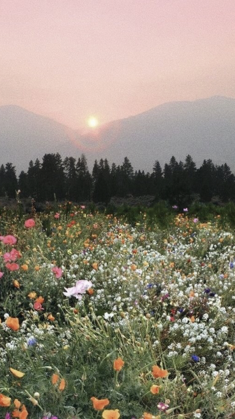 750x1340 Free download moodboards cottagecore sy nature lockscreens like reblog if [] for your Desktop, Mobile & Tablet. Explore Cottagecore Flower Wallpaper. Flower Background, Flower Wallpaper, Flower Background, Phone