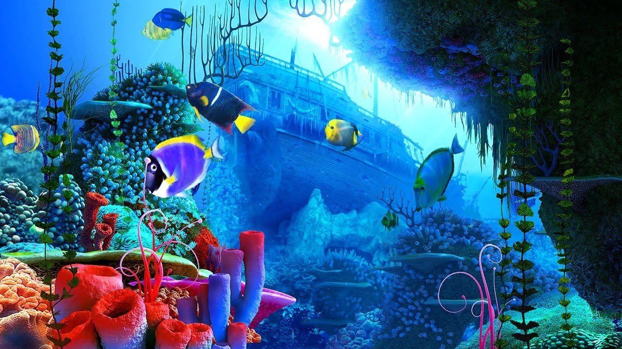 1280x720 Coral Reef 3D Screensaver & Live Wallpaper HD, Desktop
