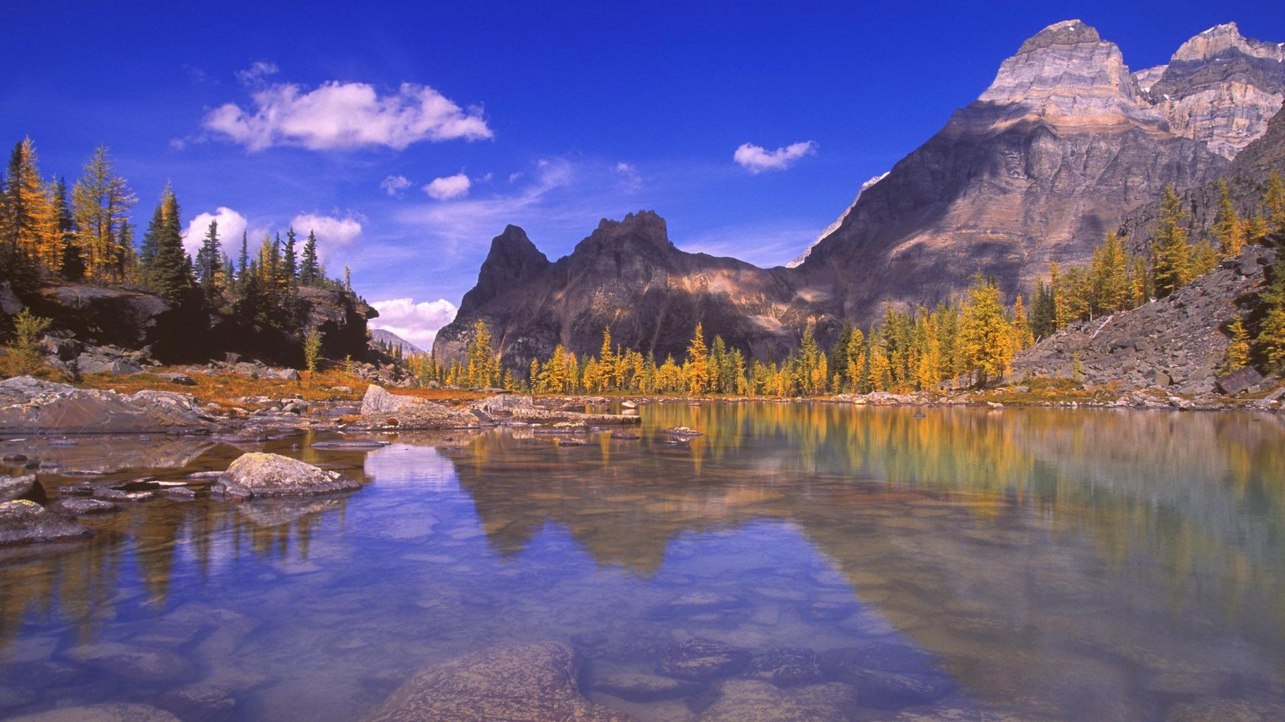 2560x1440 HD Rocky Mountain National Park Wallpaper, Live Rocky Mountain, Desktop